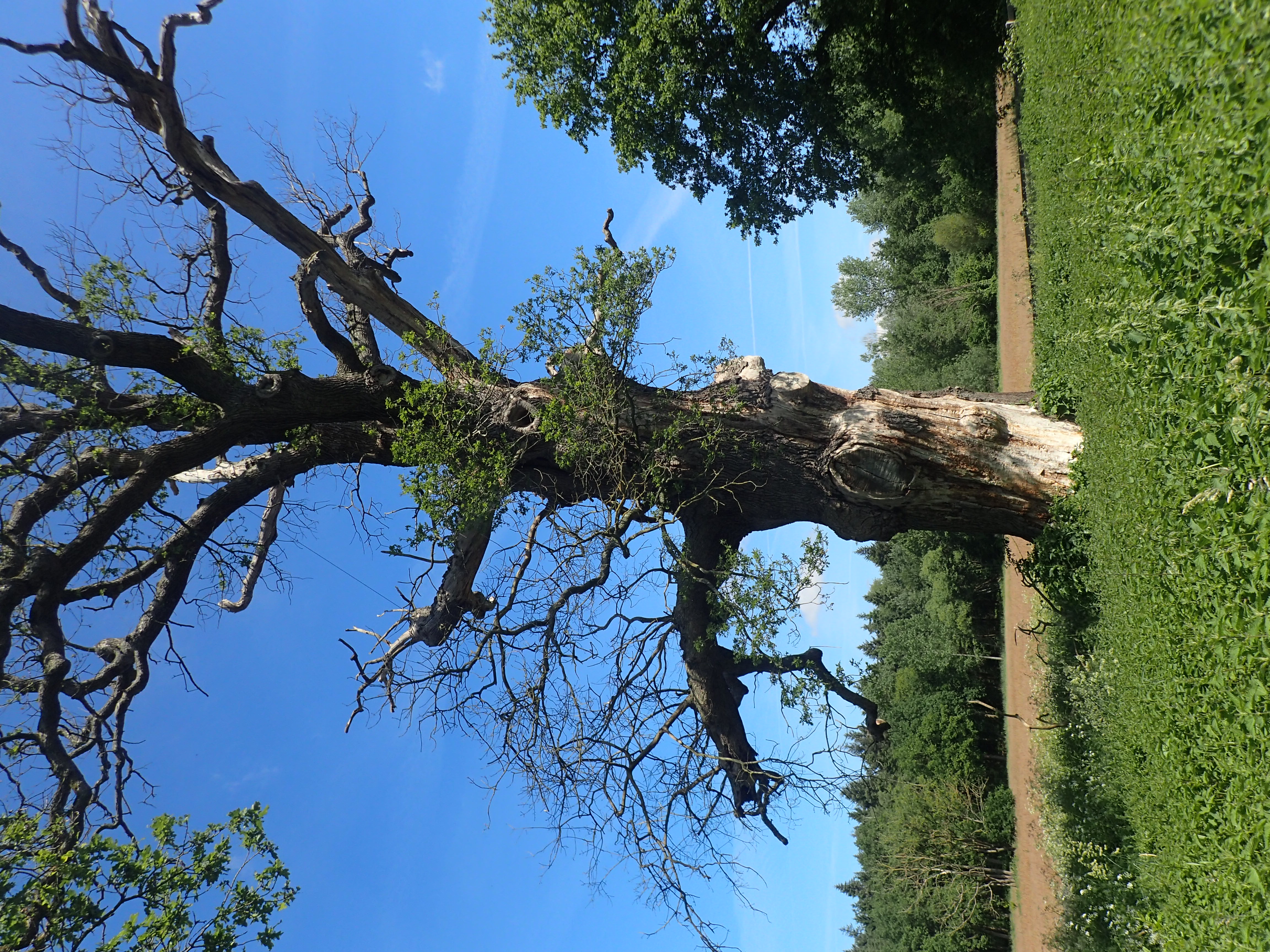 Verslag weekendkamp Laren Achterhoek 29 t/m 31 mei 2026