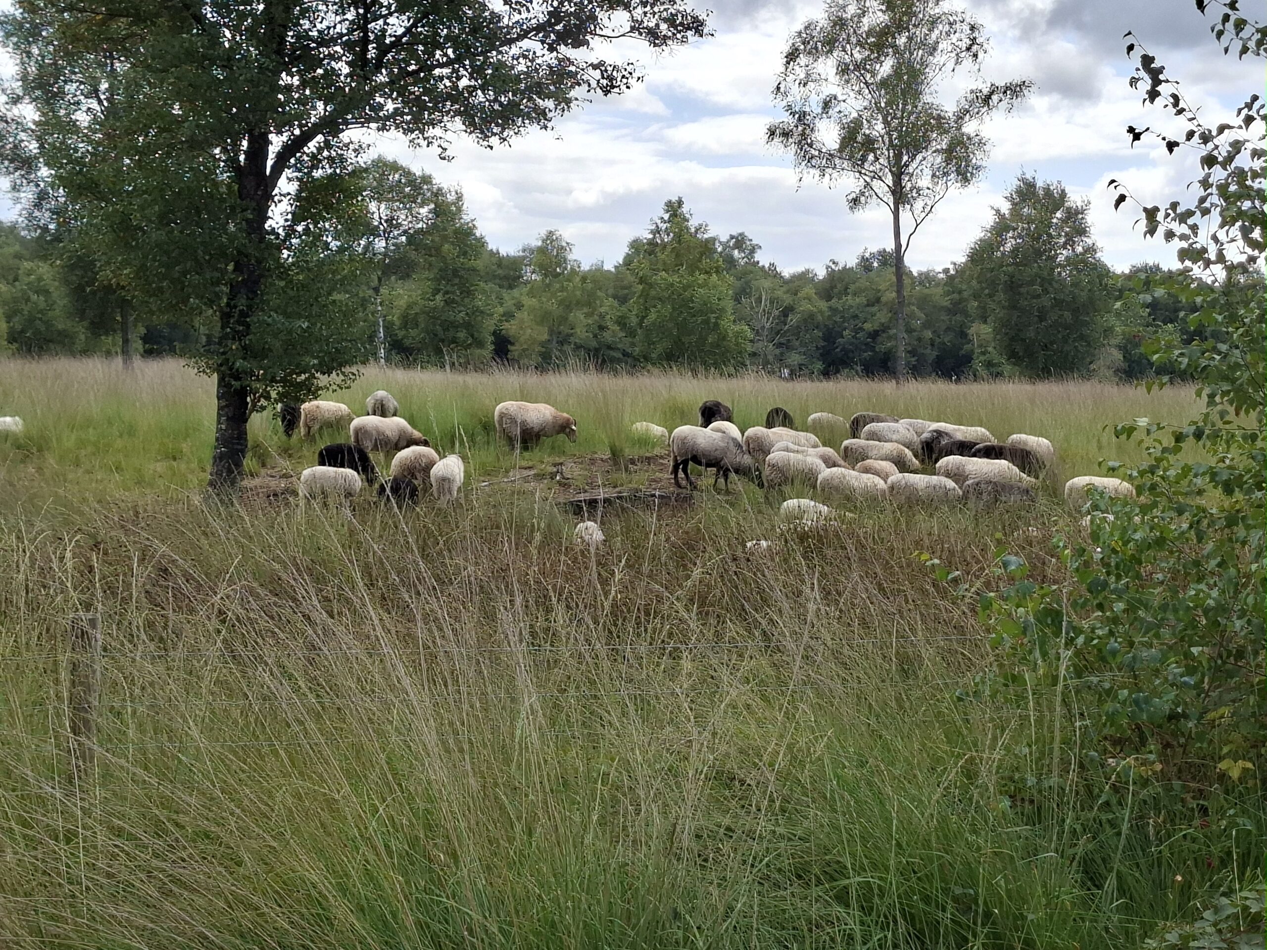 Wandelen en fietsen Engbertsdijkvenen van vrijdag 21 tot en met zondag 23 mei 2027