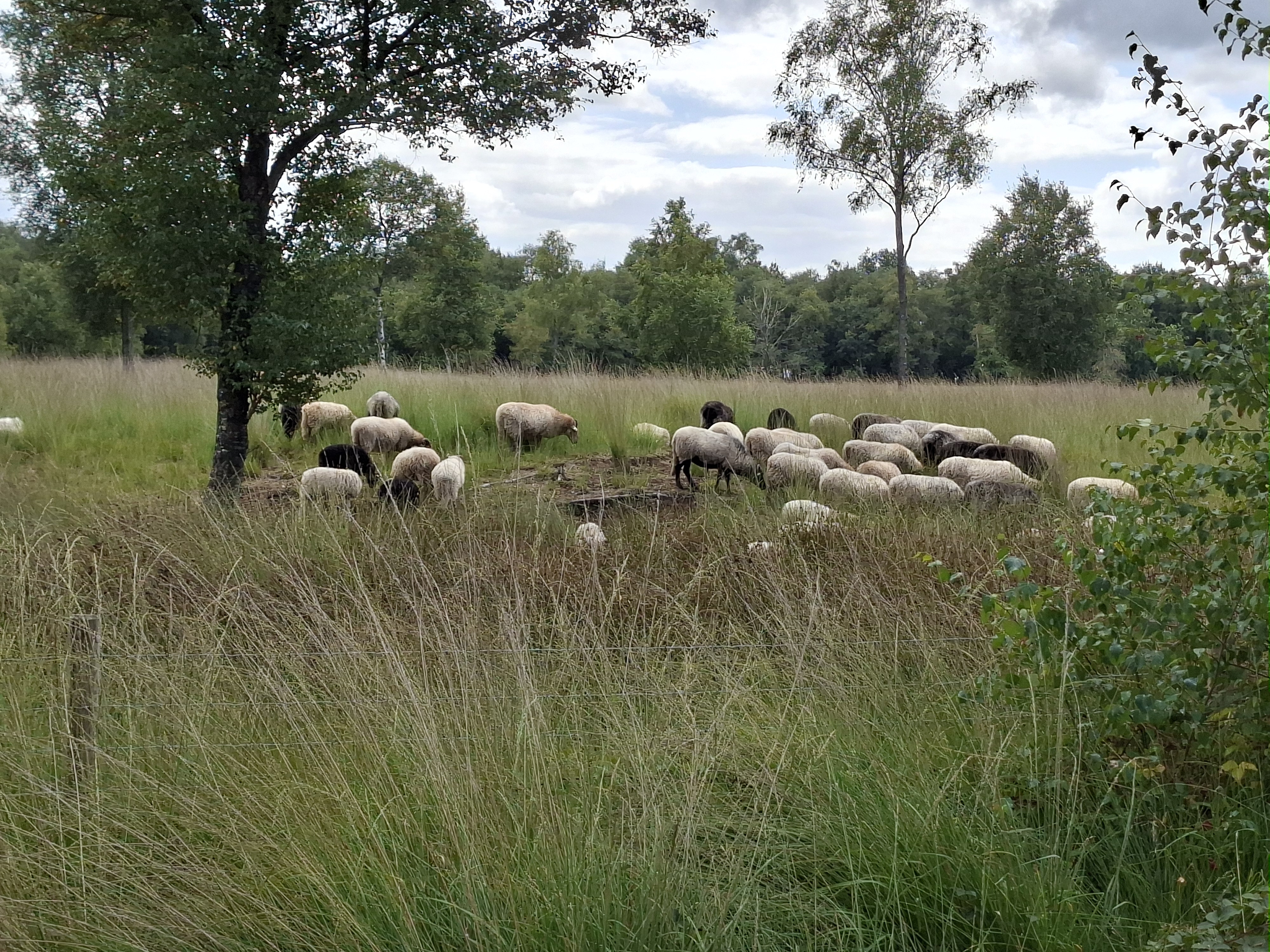 Wandelen en fietsen Engbertsdijkvenen van vrijdag 21 tot en met zondag 23 mei 2027